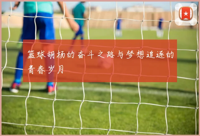 篮球胡杨的奋斗之路与梦想追逐的青春岁月