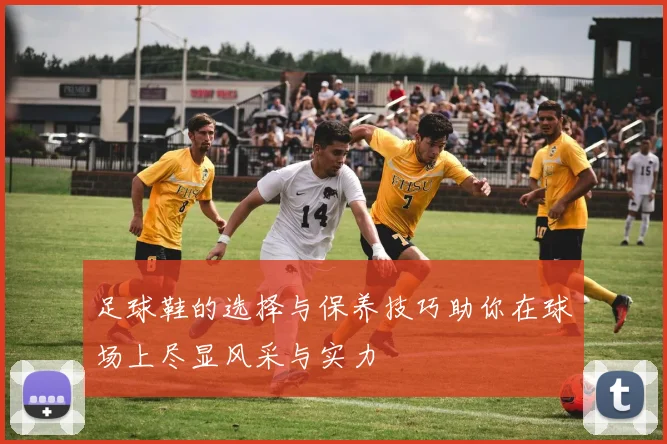 足球鞋的选择与保养技巧助你在球场上尽显风采与实力