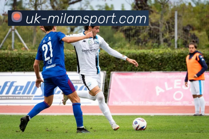 米兰官网平台生态图